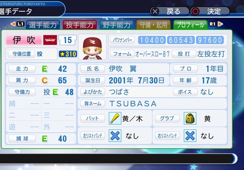 実況パワフルプロ野球2018_20200402112738