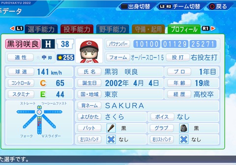 eBASEBALLパワフルプロ野球2022_20221225205955