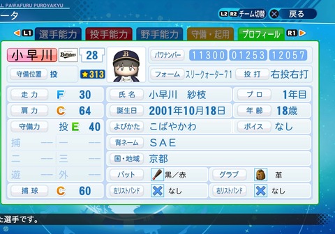 eBASEBALLパワフルプロ野球2020_20210104102711