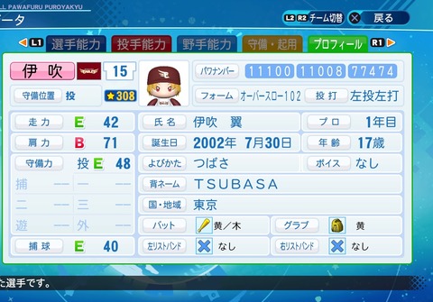 eBASEBALLパワフルプロ野球2020_20201104205129