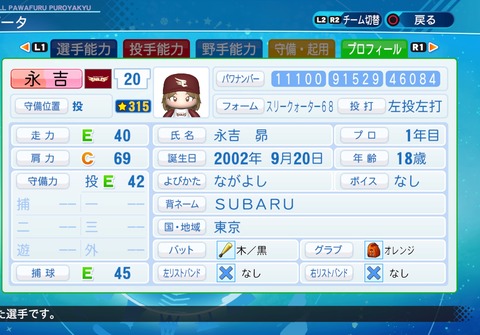 eBASEBALLパワフルプロ野球2020_20210502195041