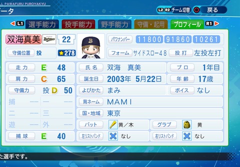 eBASEBALLパワフルプロ野球2020_20210801192805