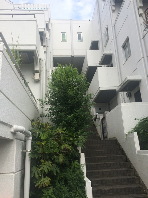 マンション自体もすてきなんです