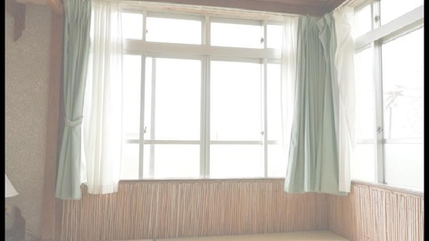 PDVD_005