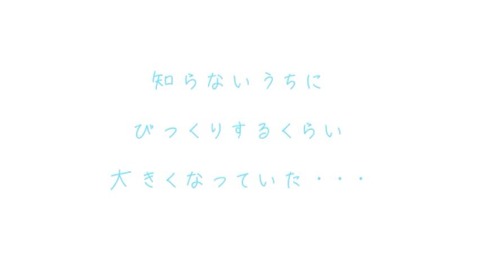 c1 (13)