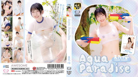 WL-001B_02