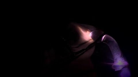 PDVD_042