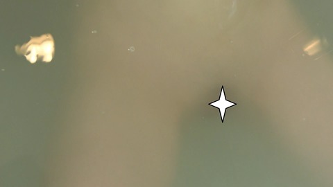 a11