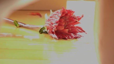 PDVD_214