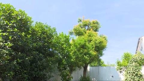 PDVD_000