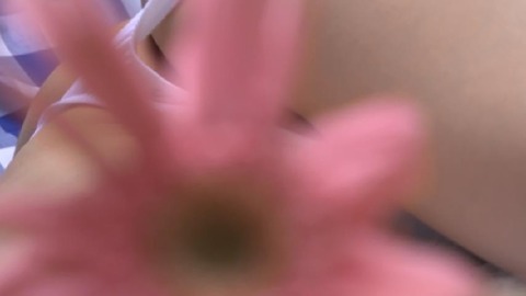 PDVD_297
