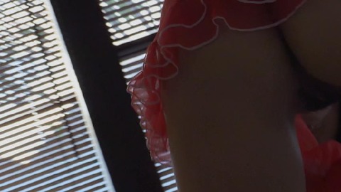 PDVD_495