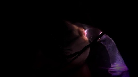 PDVD_034