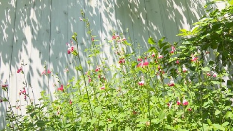 PDVD_001