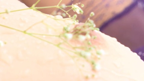 PDVD_377