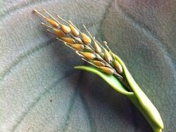 89800b0f35cbc5bbb05ed4553a397ec61e5a8f7d