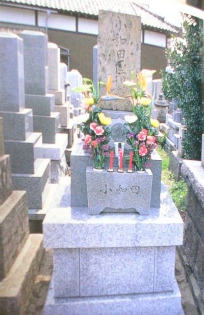 40804ef3c9d72ffbd29544763ee24430