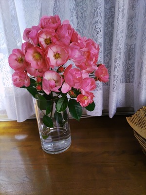 À⬤µ¤óÂð¤Îé¬é¯