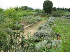 124886202072216210485