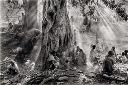 89436efca614168d51f4be99ee0aea70