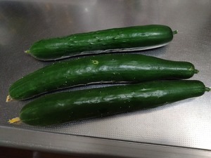 DSC_2227_copy_1600x1200_2