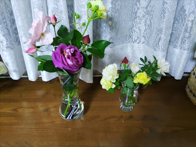 IMG_20231208_172510_copy_1600x1200