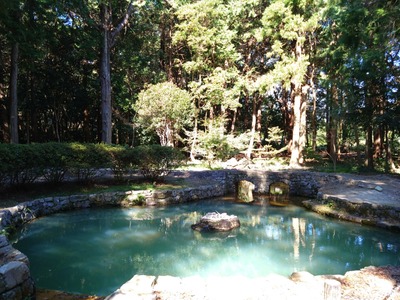 DSC_3538_copy_1600x1200