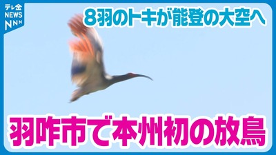 �ƥ쥫�ͥȥ�