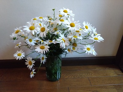 DSC_1474_copy_1600x1200