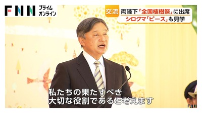 FNN������