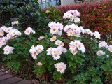 132b0228.jpg