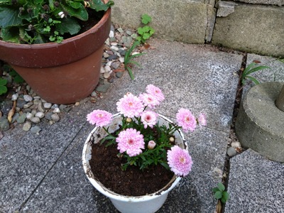 DSC_1584_copy_1600x1200