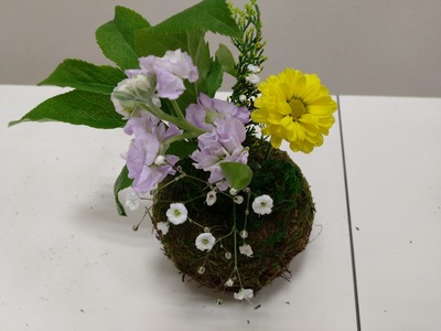DSC_1135_copy_1600x1200_1