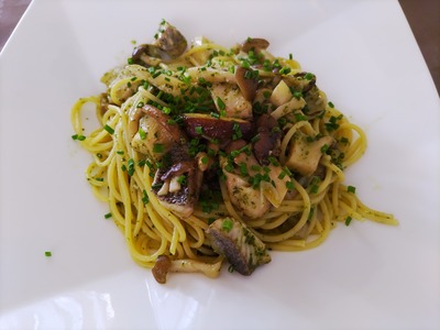 IMG_20220527_120333_copy_1600x1200