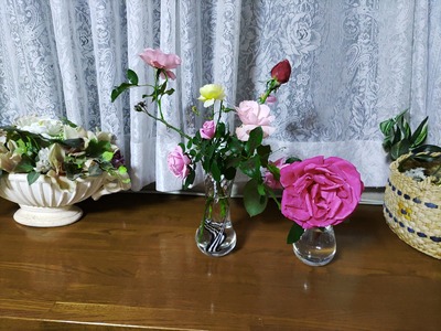 IMG_20231222_210805_copy_1600x1200