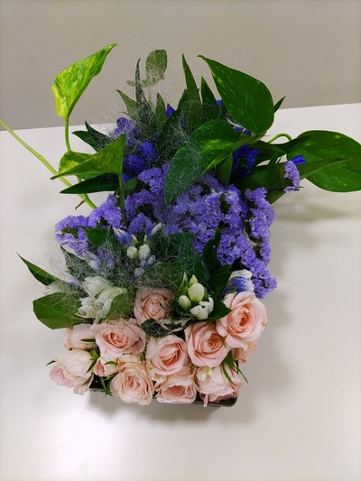 IMG_20210720_112457_copy_1200x1600