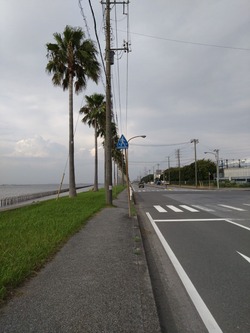 DSC_3316_copy_1200x1600