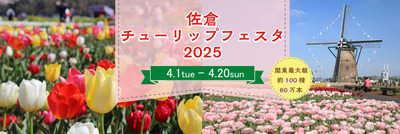 tulip2025