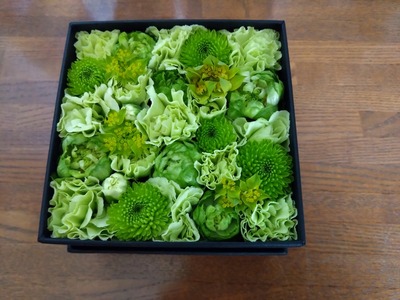 DSC_1546_copy_1600x1200