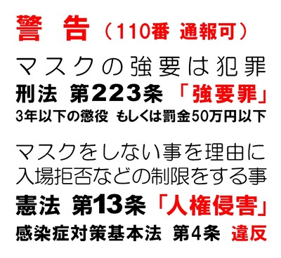 ¥Þ¥¹¥¯¶¯Í×