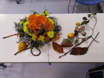 IMG_20241119_114659_copy_1600x1200