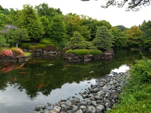 DSC_6261_copy_1600x1200