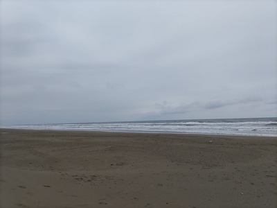 IMG��20240325��132644��copy��1600x1200