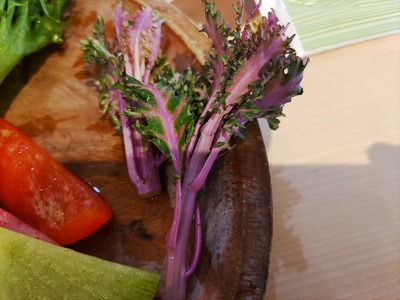 IMG_20240325_122211_copy_1600x1200