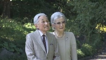 thumb-12198-506866-domestic