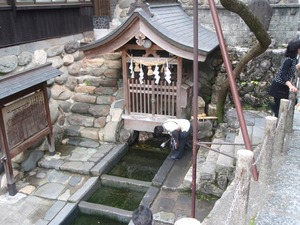 121266486219016202216