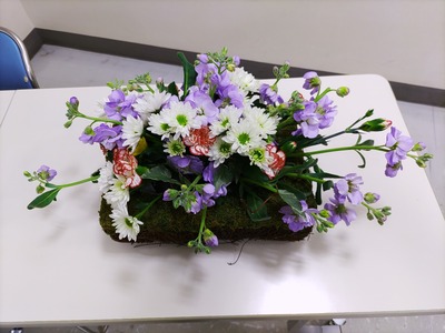 IMG_20230221_113736_copy_1600x1200