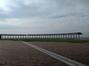 DSC_3321_copy_1600x1200