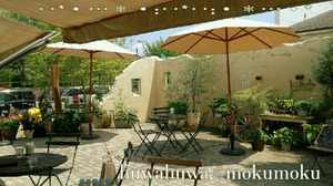 o0720040412531846309