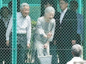 IP170826TAN000036000